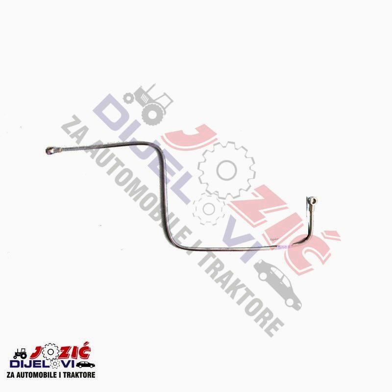 Daisy on the Ohoopee